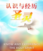 作者:池金代
<br>售价:RM20
<br>初版:2015年12月
<br>书号:978-967-452-011-3
<br>在二十一世纪,总有各种日新月异的灵恩学说和经历层出不穷,令人有应接不暇之感。但无论面对什么学说或经历,最重要的还是回去圣经,让神的话来教导我们认识并且经历圣灵。 92.《认识与经历圣灵》