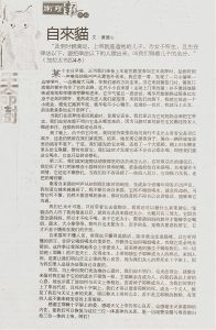 {"mCoordarray":[667,291,2721,309,2756,3503,619,3511],"mFilterType":3,"mCameraMatrix":[2760,0,2016,0,2760.000244140625,1512,0,0,1]}